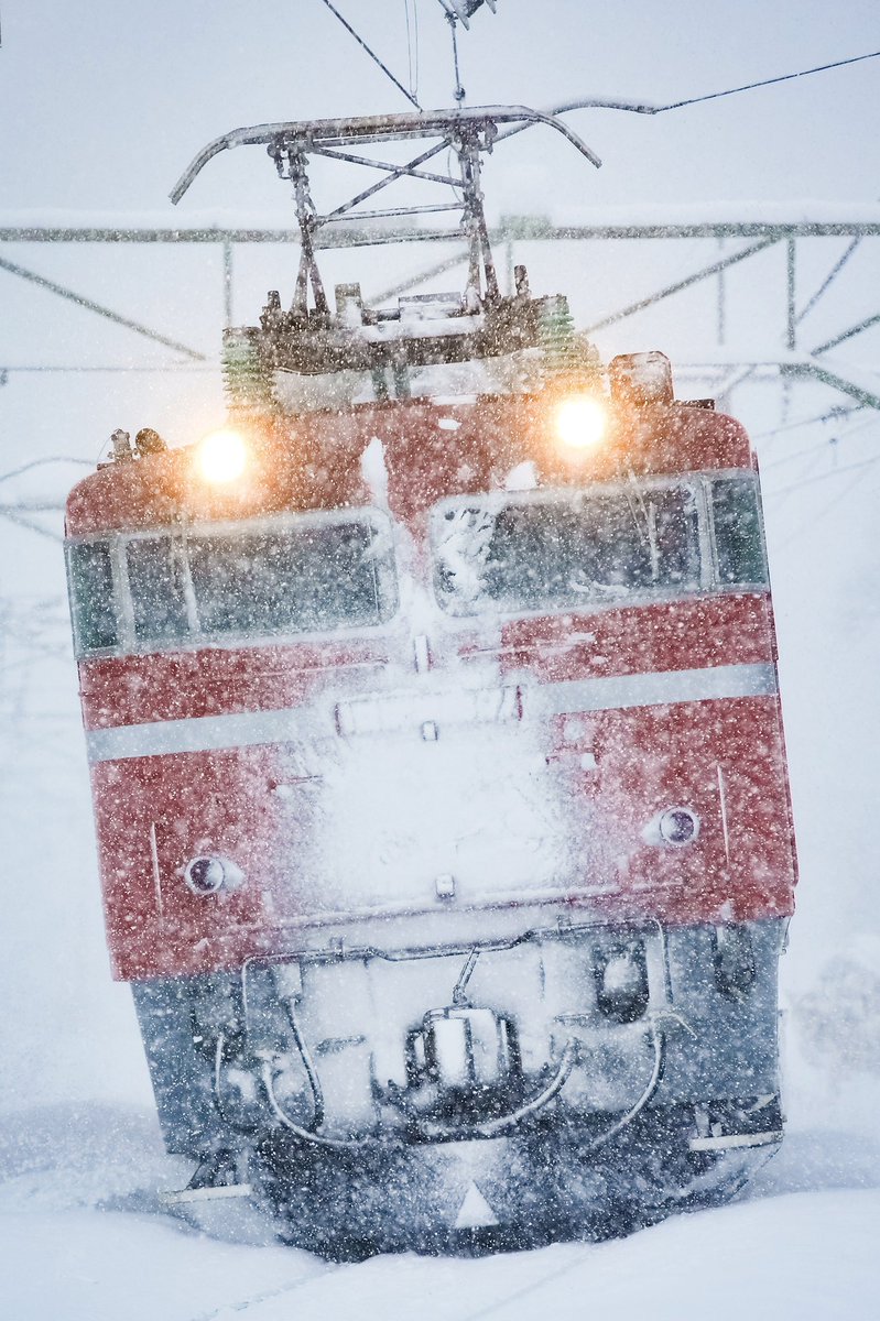 broccoli (@broccoli8195) / Posts / X