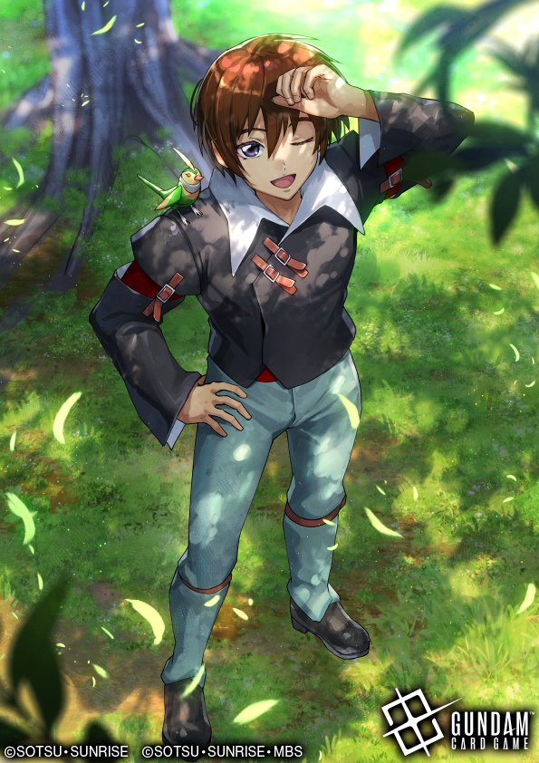 Works】 ガンダムカードゲームにて、 ◇EXリソース(ラクス・クライン