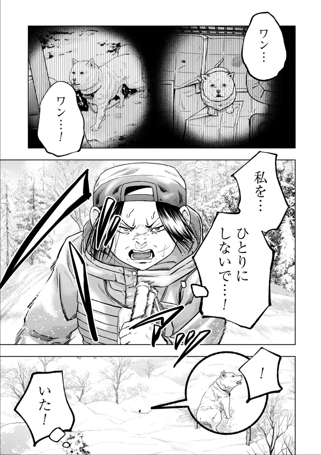 クマ撃ちの女 全巻(既刊1〜15巻) コミック】クマ撃ちの女(1～15巻)セット | 全巻セットまとめ買い