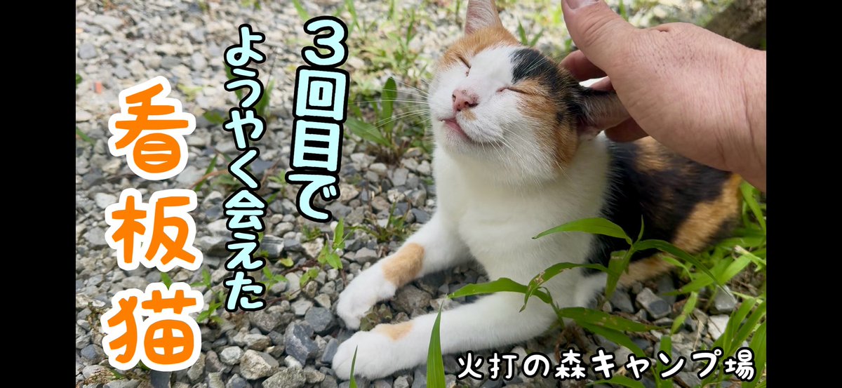 皆さんこんばんは😊少し宣伝させていただきます🙏
新しい動画が出来上がりました。時間のある時にでも観ていただけたら嬉しいです☺️

youtu.be/nRq2NOD5Qgc?si…

#火打の森キャンプ場
#猫
#ソロキャンプ