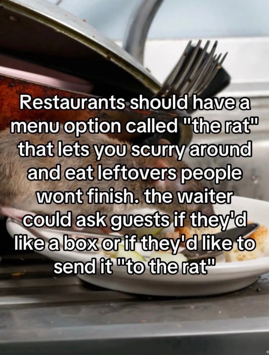 venuslovesrats's tweet image. 