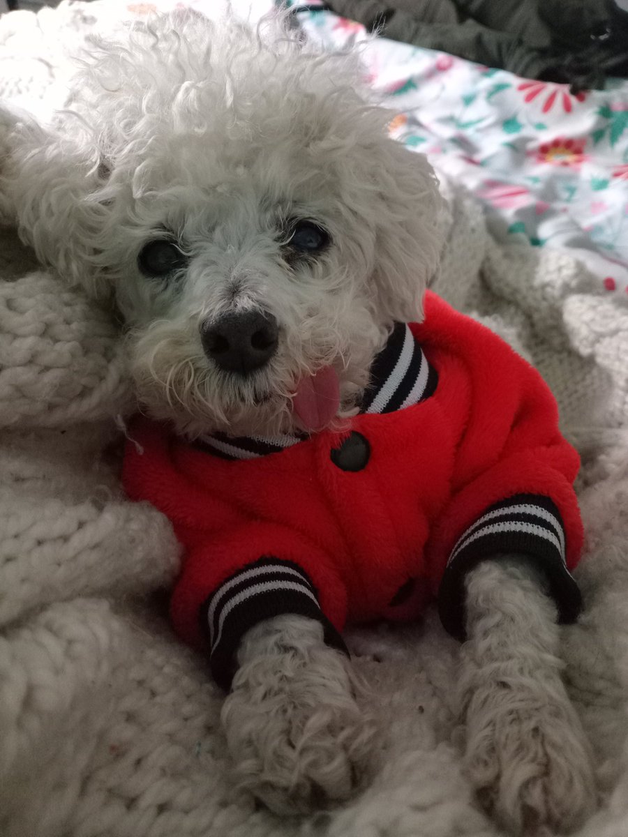 Silvillau's tweet photo. #FelizViernes para todos!!! 
Llueve así q hoy nos quedamos más en el cama . https://t.co/f4iu7j6Zxk