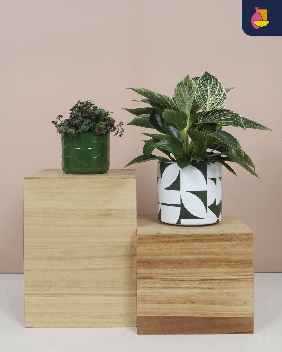 BunnikCreations's tweet image. We design our own prints and textures to match each trend or season. One idea, two looks: shown here as both a print and a relief. Want something custom? We turn your concept into a unique finished product.
#BunnikCreations #PrintAndPattern #ReliefDesign