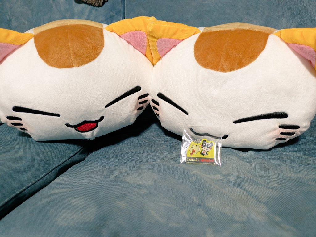 ねむねこページ m56187777954_1.jpg?1719219600