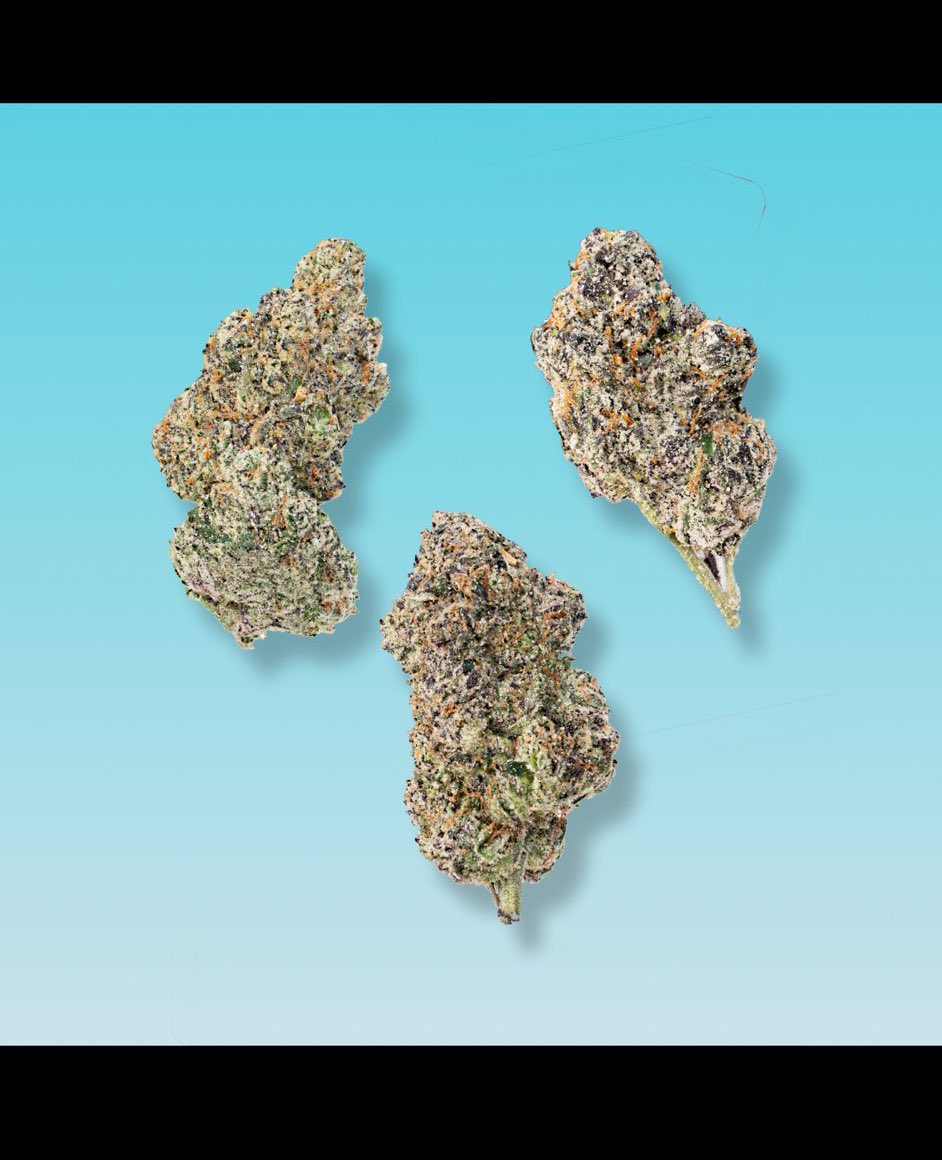 π¨π (@highassthinking) on Twitter photo π¨ #THCAThursday Giveaway π¨
Weβre back for another THCA Thursday and this one is a banger! π₯
Sorry weβre a day late β weβve been slammed since Champs β but letβs keep this momentum going π¨
This week, weβre running a special collab giveaway with some heat on deck π
3 winners π¨ #THCAThursday Giveaway π¨
Weβre back for another THCA Thursday and this one is a banger! π₯
Sorry weβre a day late β weβve been slammed since Champs β but letβs keep this momentum going π¨
This week, weβre running a special collab giveaway with some heat on deck π
3 winners