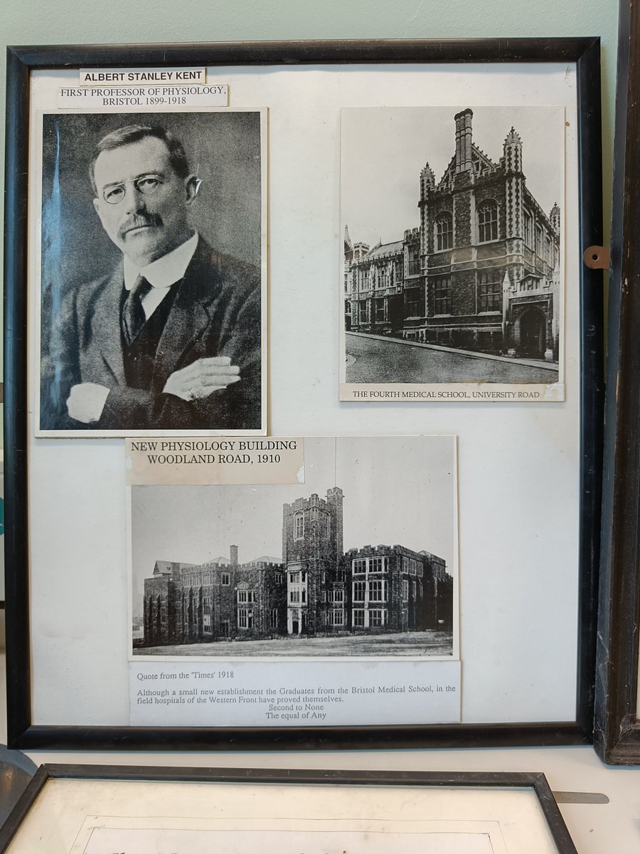 Andy James (@andyfjames) on Twitter photo Today marks the start of a new chapter in the history of Physiology <a href="/BristolUni/">University of Bristol</a> as physiologists from <a href="/UoBPPN/">University of Bristol School of PPN</a> join the Medical School. A collage of photos including 1st Prof of Physiology, Albert Stanley Kent, whose name is given to an accessory pathway in the heart <a href="/BHIBristol/">Bristol Heart Institute</a> Today marks the start of a new chapter in the history of Physiology <a href="/BristolUni/">University of Bristol</a> as physiologists from <a href="/UoBPPN/">University of Bristol School of PPN</a> join the Medical School. A collage of photos including 1st Prof of Physiology, Albert Stanley Kent, whose name is given to an accessory pathway in the heart <a href="/BHIBristol/">Bristol Heart Institute</a>