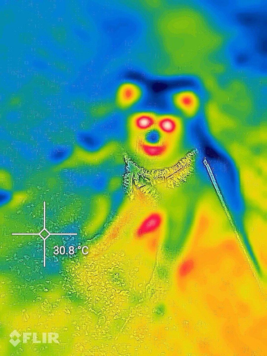 Grabbed some of $Inukun 

Xray dog on bonk

Posted by an account with 2 million followers

Dex recently paid community growin pretty steady 

30k rn

2EJ3DUnKhhabvBZLU3o6WnubaNwEVMLtYLznzKu1bonk