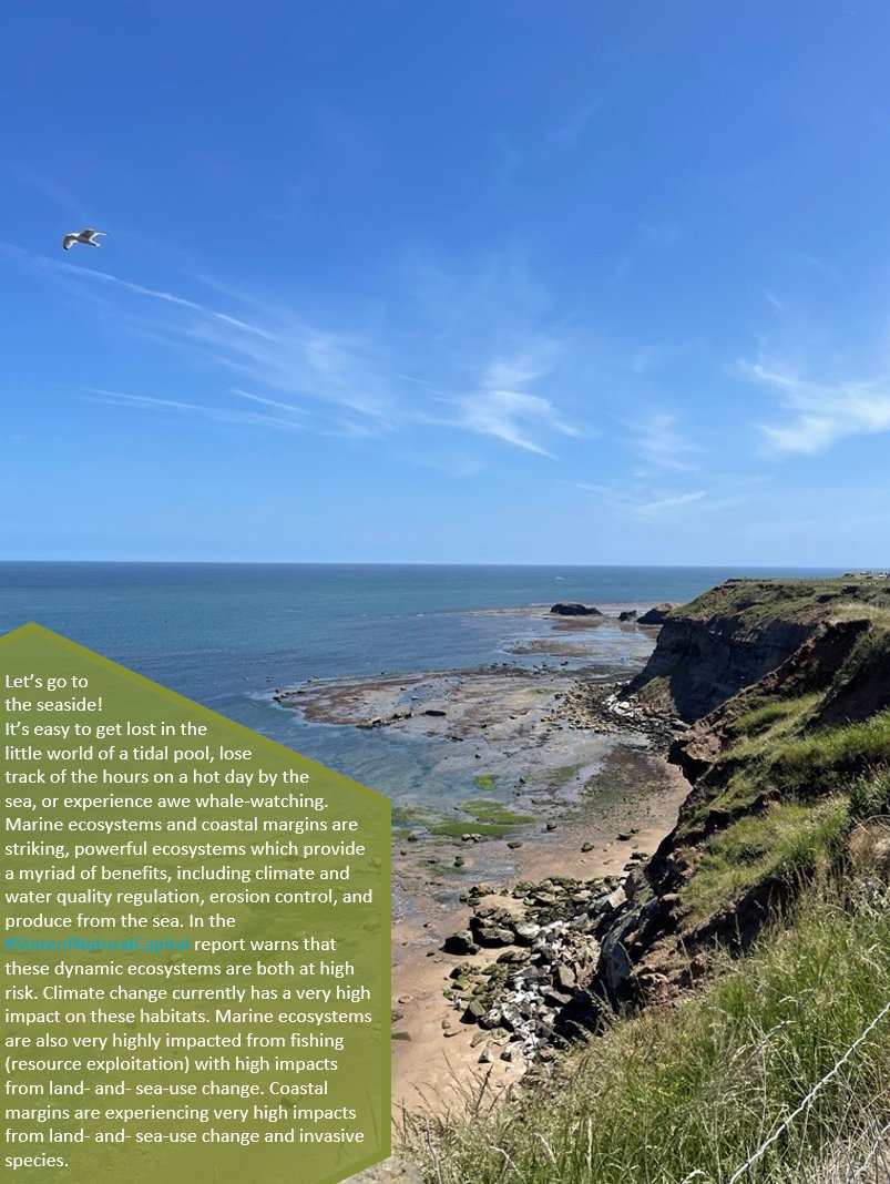 🏖️Over the next few weeks, we will dive deeper into <a href="/NaturalEngland/">Natural England</a>'s #StateofNaturalCapital report and the benefits, drivers of change and #naturebasedsolutions that can help turn the tides towards positive change in #marineecosystems and #coastalmargins.
publications.naturalengland.org.uk/publication/66…