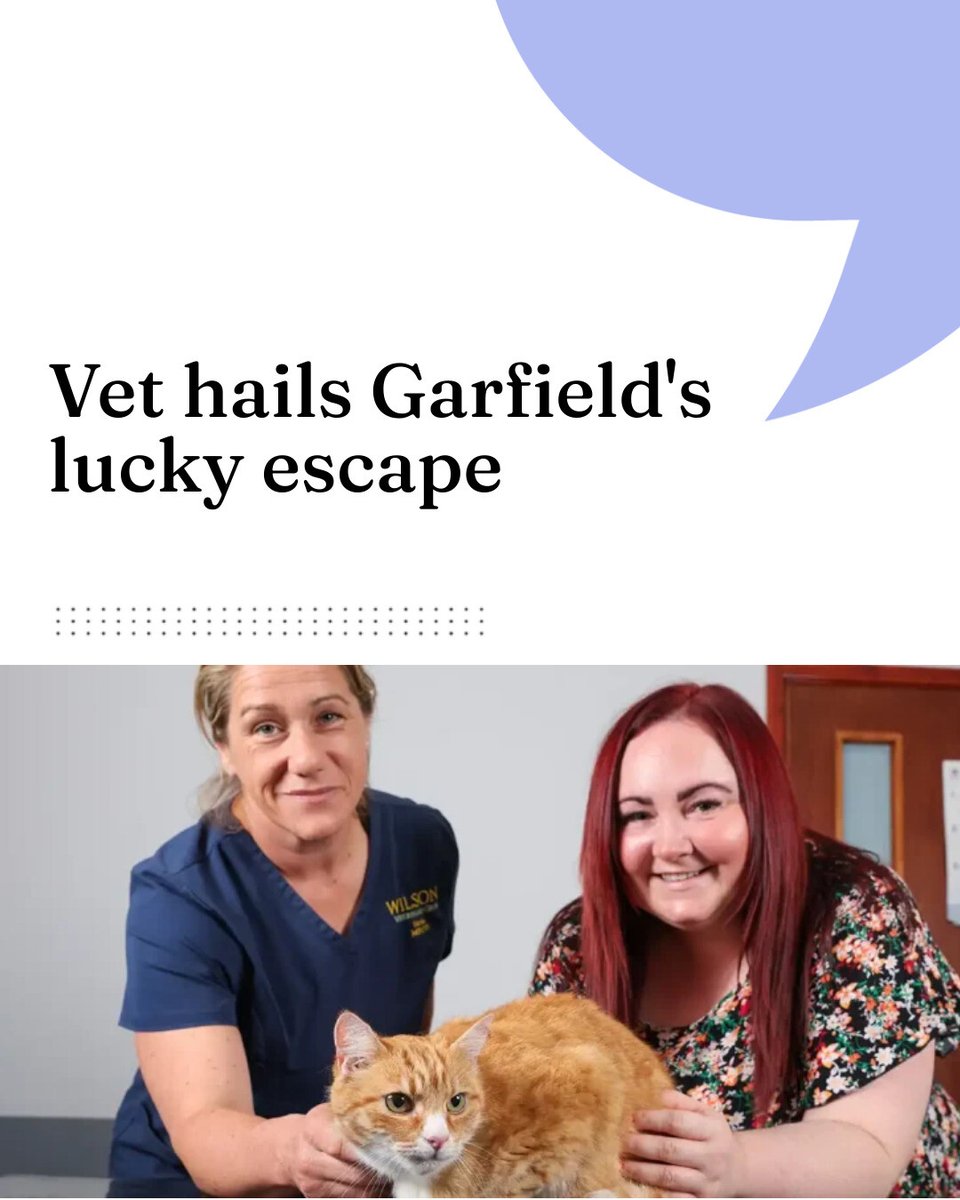 Vet hails Garfield's lucky escape

 vettimes.com/news/vet-nursi…