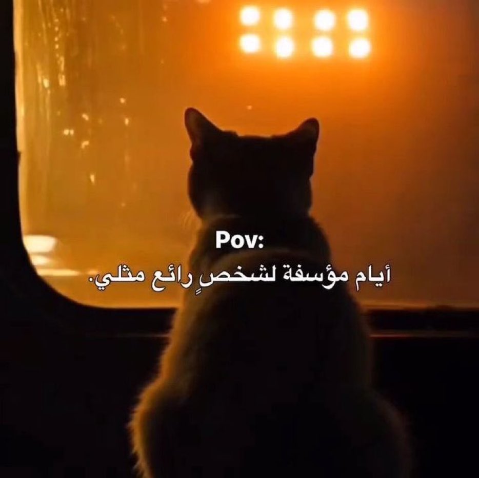 هل انت عبيط! |كود نايس ون Mo7 (@egyptianmemees) on Twitter photo 