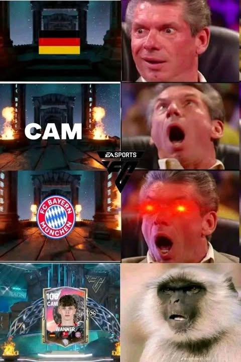 BlazeFC tweet media