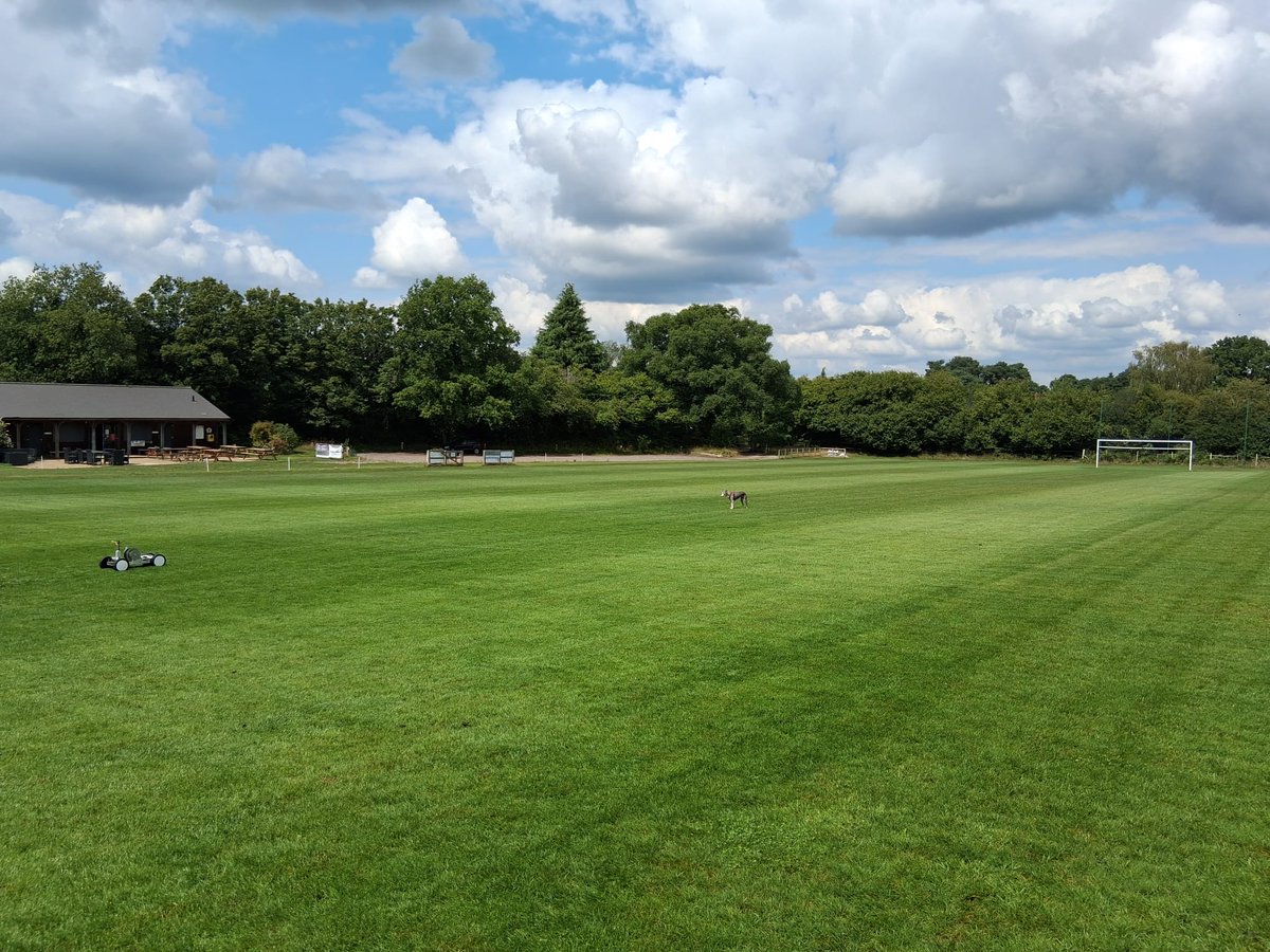 Mattyk05's tweet image. Pitch starting to come together with the season fast approaching. Still some areas really struggling. Fertiliser kicking in after finally some rain yesterday @HambledonFC 
Double cut with the wessex today 

#preseason #groundsman #badgerpark