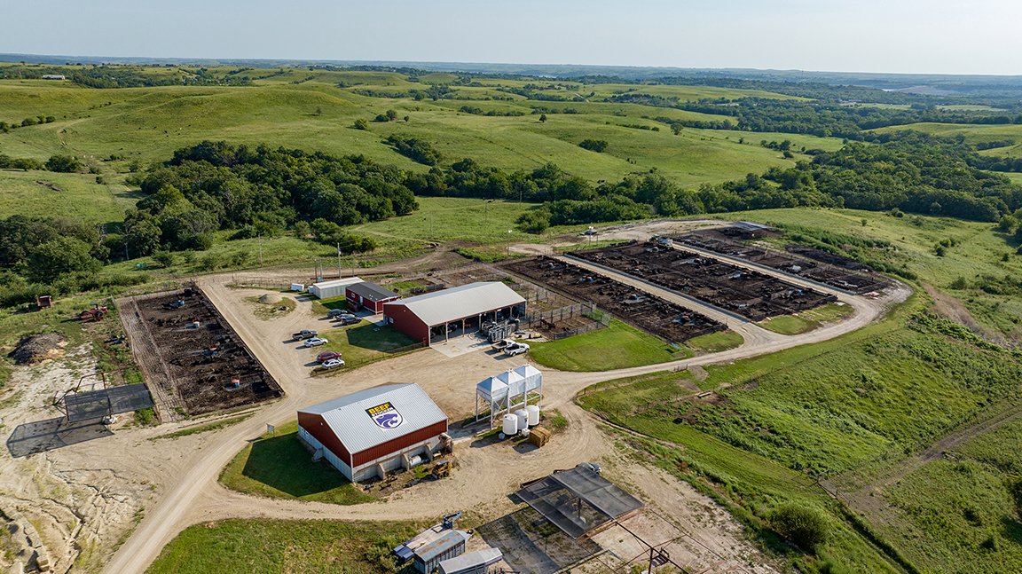 Why the stocker cattle segment is critical to the success of the beef industry: bit.ly/4l4JZFH #ABBx
