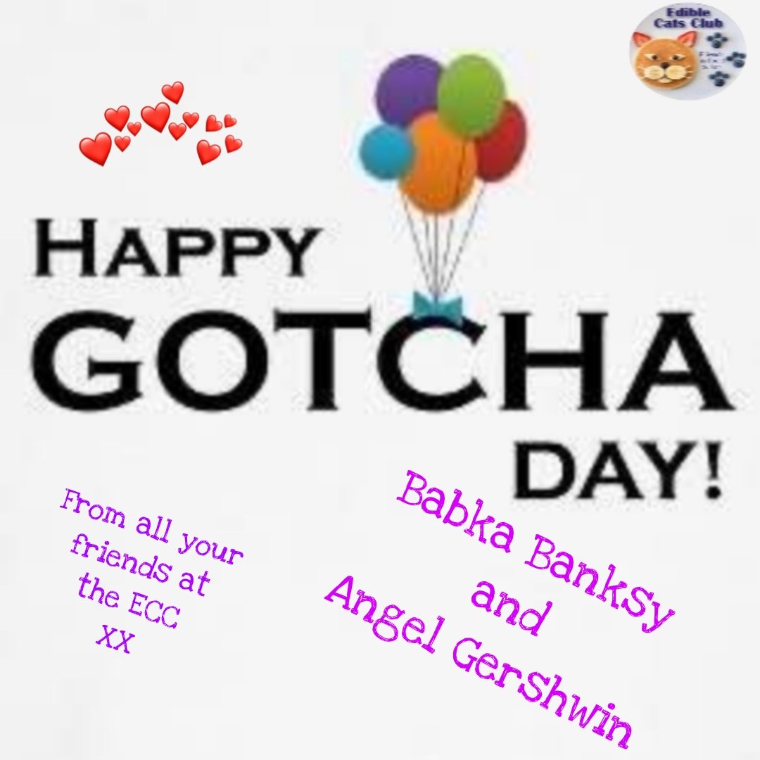 Postman Pappy’& Postman Panfur’s ECC Cards (@eccpostmanpappy) on Twitter photo *Postman Panfur comes in to the PO*
HAPPY GOTCHA DAY TO DEAR BANKSY AND ANGEL GERSHWIN . Sending much love and paw hugs to your Hoomama ❤️❤️ <a href="/RheaMPBrooke/">Rhea Brooke 🚺🦕🏳️🌈🎨🐾 🎗️✡️</a> <a href="/EdibleCatsClub/">EdibleCatsClub</a> *Postman Panfur comes in to the PO*
HAPPY GOTCHA DAY TO DEAR BANKSY AND ANGEL GERSHWIN . Sending much love and paw hugs to your Hoomama ❤️❤️ <a href="/RheaMPBrooke/">Rhea Brooke 🚺🦕🏳️🌈🎨🐾 🎗️✡️</a> <a href="/EdibleCatsClub/">EdibleCatsClub</a>
