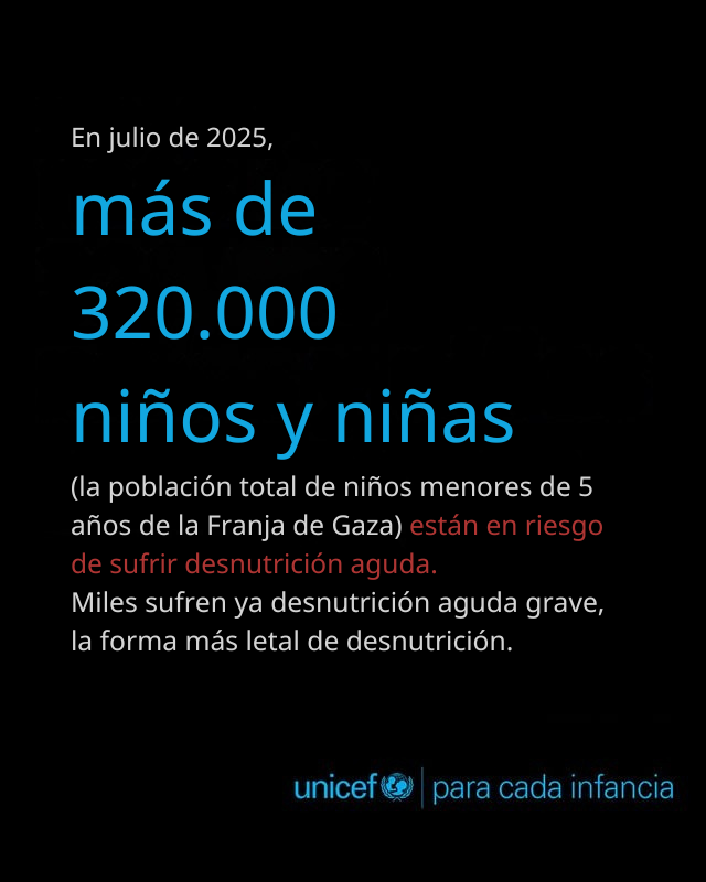 Niños, niñas y bebés visiblemente demacrados están muriendo de desnutrición en Gaza. Urge un acceso humanitario sin obstáculos y un alto el fuego inmediato y sostenido para frenar la matanza, liberar rehenes y salvar vidas con ayuda vital