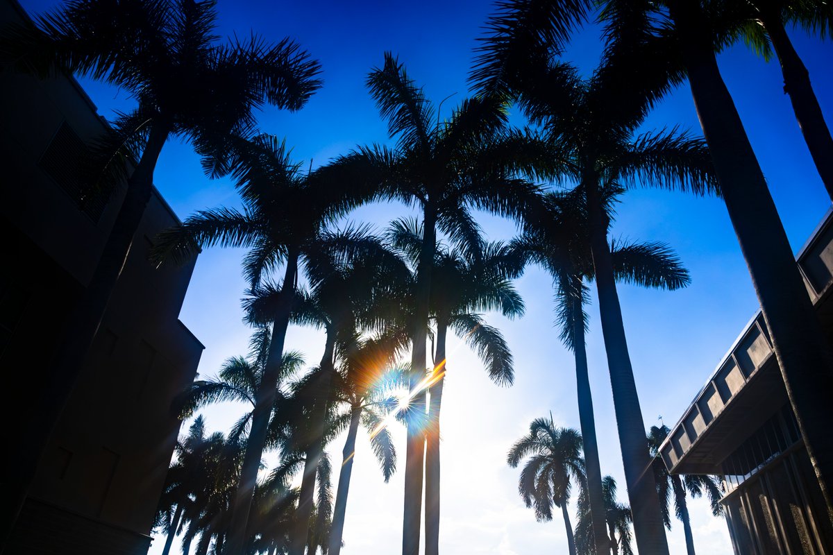 Florida Atlantic University (@floridaatlantic) on Twitter photo Just your daily reminder that this is our campus 😌 Just your daily reminder that this is our campus 😌