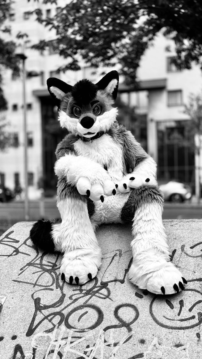 No clue why, but B&amp;W photography’s really got me lately.

Wishing you all a good #FursuitFriday!