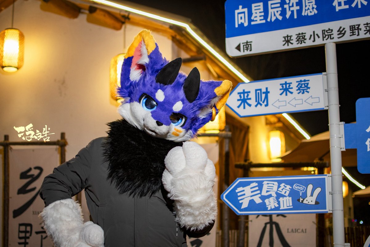 xixi_furry's tweet photo. 好久没更新了捏（

📷：@浮皓 https://t.co/3QJE2OdJS7
