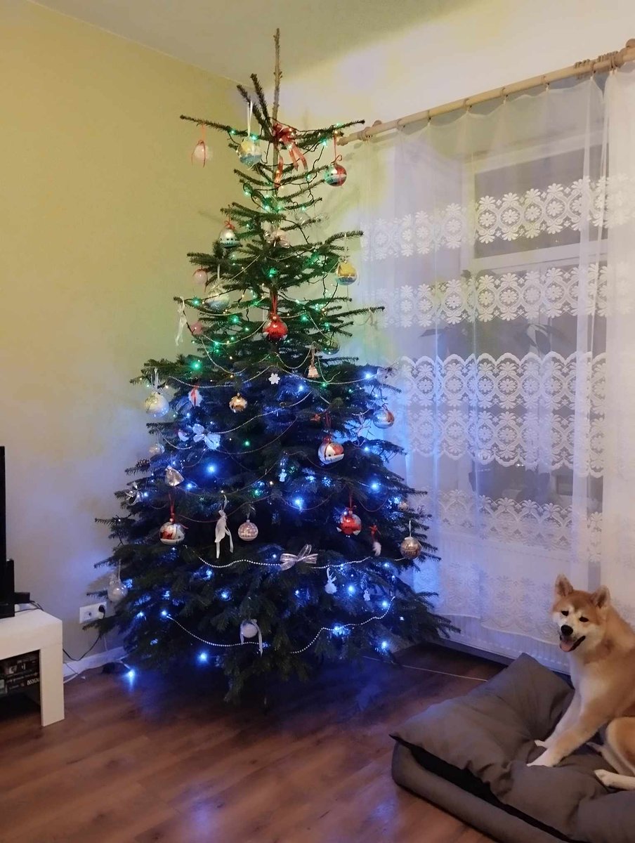 Andy Elliass tweet media