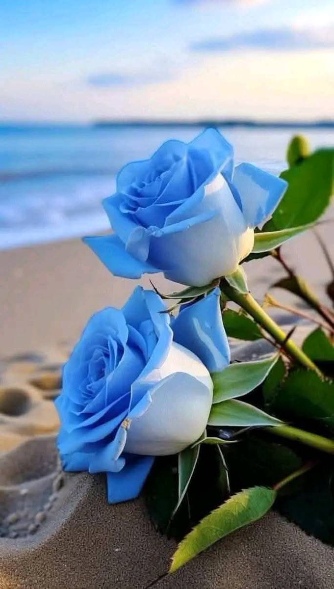 Farooq (@frq06) on Twitter photo <a href="/Tnr_6/">Hafiz Tanveer Ahmad 🌐Official</a> <a href="/0fozi_/">Fauzia</a> <a href="/frq04/">Muhammad Farooq Ahmad</a> <a href="/Rnapti/">SHAHID💚PK</a>
<a href="/Fk0_1/">Shahid (lover pti)</a> <a href="/s4566_/">(PTI)</a> <a href="/S111_9/">SHAHID MEHMOOD</a> <a href="/786F_/">Shahid</a>
<a href="/shz787/">🌟⭐️🌟🌟sʜᴀʜᴢᴀᴅ ᴍᴜɴɪʀ🌟⭐️🌟⭐️</a> <a href="/shZ447/">𝕊𝕙𝕒𝕙𝕫𝕒𝕕 𝕄𝕦𝕟𝕚𝕣</a> <a href="/58Yas_/">Muhammad Yaseen</a>
<a href="/Tzb_1/">تہذیب</a> <a href="/1Lvz0/">𝐿𝒶v𝑒𝑒𝓏𝒶_🍃</a> <a href="/FK_71/">Fãhêêmkhãn</a>
<a href="/1i2Ua/">🇦 🇭 🇲 🇪 🇩 🇷 🇮 🇦 🇿𝓲𝓹𝓲𝓪𝓷</a> <a href="/1i3Ua/">🇦 🇭 🇲 🇪 🇩</a>
<a href="/7Ambr/">Amber Baig</a>
<a href="/0MRK_/">Mahrukh Khan</a>
#PAK_PG
<a href="/frq05/">Farooq Ahmad</a>
<a href="/frq06/">Farooq</a>
<a href="/imrnv/">CH Imran</a> <a href="/imra0b/">Goat city Form</a> <a href="/TP7i1/">★☯𝑩𝒉𝒂𝒊༒〄</a>
<a href="/Khld36/">✍𝙆𝙝𝙖𝙡𝙞𝙙 𝙃𝙪𝙨𝙖𝙞𝙣✍⳼</a> <a href="/Frhn42/">★𝙁𝙧𝙝𝙖𝙣 𝘼𝙝𝙢𝙚𝙙★</a> <a href="/Trq88/">✍︎⸙𝐓αɾιϙ 𝐌υɾƚαȥα࿈</a>
<a href="/Triq25/">⤹𝙈𝙪𝙝𝙖𝙢𝙢𝙖𝙙 𝙏𝙖𝙧𝙞𝙦⤸</a> <a href="/Bla_Here/">🅰🅱🅳🆄🅻🅻🅰🅷𝓲𝓹𝓲𝓪𝓷</a> <a href="/Pti0_1/">Shahid</a>
<a href="/Jann064/">Ahmad Jan</a> <a href="/6Jan11/">jan</a> <a href="/_ah064/">Ahmad</a>
<a href="/frq_3/">farooq mughal</a> <a href="/_0zoi/">Zoya Hamid</a> <a href="/F7861_/">Rana Fahid</a> <a href="/P0_27/">SANA PTI</a> <a href="/Tnr_6/">Hafiz Tanveer Ahmad 🌐Official</a> <a href="/0fozi_/">Fauzia</a> <a href="/frq04/">Muhammad Farooq Ahmad</a> <a href="/Rnapti/">SHAHID💚PK</a>
<a href="/Fk0_1/">Shahid (lover pti)</a> <a href="/s4566_/">(PTI)</a> <a href="/S111_9/">SHAHID MEHMOOD</a> <a href="/786F_/">Shahid</a>
<a href="/shz787/">🌟⭐️🌟🌟sʜᴀʜᴢᴀᴅ ᴍᴜɴɪʀ🌟⭐️🌟⭐️</a> <a href="/shZ447/">𝕊𝕙𝕒𝕙𝕫𝕒𝕕 𝕄𝕦𝕟𝕚𝕣</a> <a href="/58Yas_/">Muhammad Yaseen</a>
<a href="/Tzb_1/">تہذیب</a> <a href="/1Lvz0/">𝐿𝒶v𝑒𝑒𝓏𝒶_🍃</a> <a href="/FK_71/">Fãhêêmkhãn</a>
<a href="/1i2Ua/">🇦 🇭 🇲 🇪 🇩 🇷 🇮 🇦 🇿𝓲𝓹𝓲𝓪𝓷</a> <a href="/1i3Ua/">🇦 🇭 🇲 🇪 🇩</a>
<a href="/7Ambr/">Amber Baig</a>
<a href="/0MRK_/">Mahrukh Khan</a>
#PAK_PG
<a href="/frq05/">Farooq Ahmad</a>
<a href="/frq06/">Farooq</a>
<a href="/imrnv/">CH Imran</a> <a href="/imra0b/">Goat city Form</a> <a href="/TP7i1/">★☯𝑩𝒉𝒂𝒊༒〄</a>
<a href="/Khld36/">✍𝙆𝙝𝙖𝙡𝙞𝙙 𝙃𝙪𝙨𝙖𝙞𝙣✍⳼</a> <a href="/Frhn42/">★𝙁𝙧𝙝𝙖𝙣 𝘼𝙝𝙢𝙚𝙙★</a> <a href="/Trq88/">✍︎⸙𝐓αɾιϙ 𝐌υɾƚαȥα࿈</a>
<a href="/Triq25/">⤹𝙈𝙪𝙝𝙖𝙢𝙢𝙖𝙙 𝙏𝙖𝙧𝙞𝙦⤸</a> <a href="/Bla_Here/">🅰🅱🅳🆄🅻🅻🅰🅷𝓲𝓹𝓲𝓪𝓷</a> <a href="/Pti0_1/">Shahid</a>
<a href="/Jann064/">Ahmad Jan</a> <a href="/6Jan11/">jan</a> <a href="/_ah064/">Ahmad</a>
<a href="/frq_3/">farooq mughal</a> <a href="/_0zoi/">Zoya Hamid</a> <a href="/F7861_/">Rana Fahid</a> <a href="/P0_27/">SANA PTI</a>