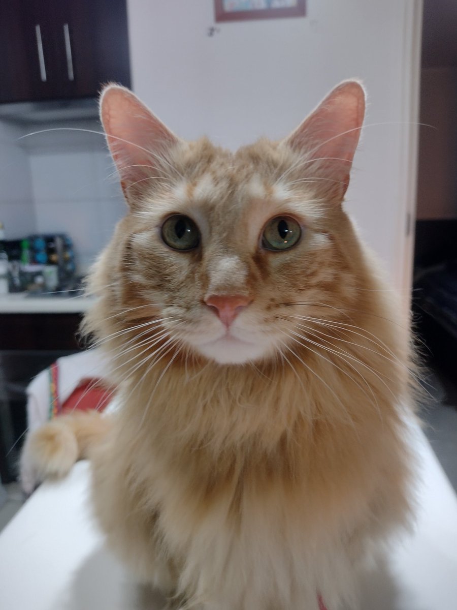 Busco apodo de criminal para este delincuente.