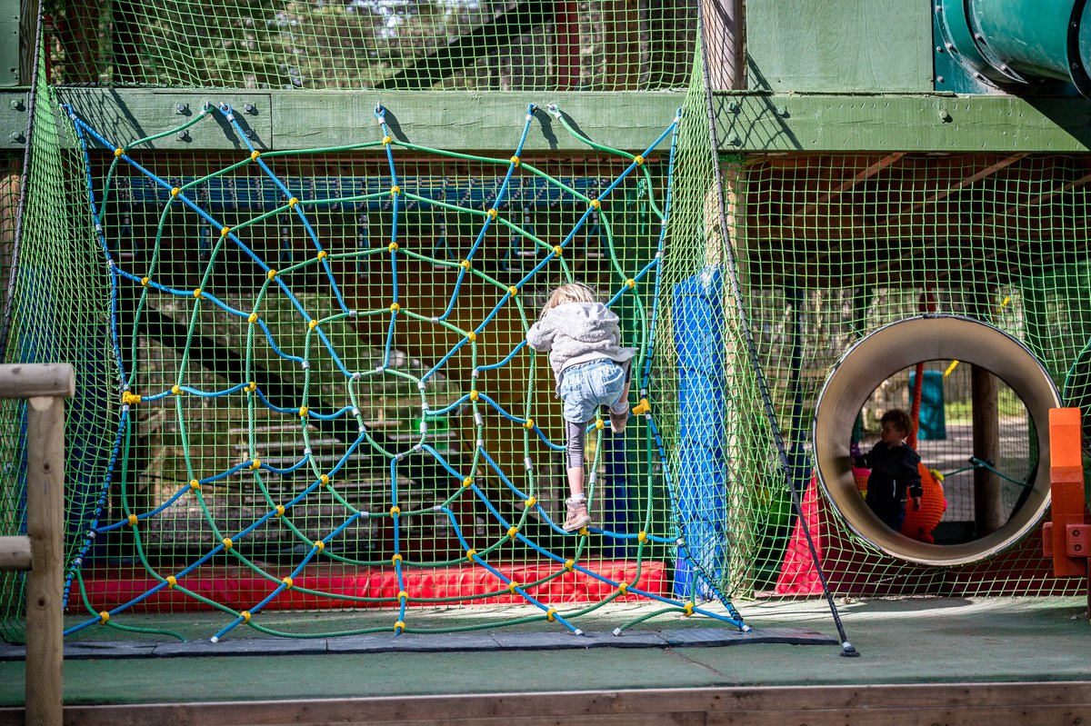 LandmarkParkUK's tweet image. ☀️ Summer holidays = Landmark time!
School’s out &amp;amp; the forest is calling! Whether it’s your first visit or a family tradition, Landmark has everything you need for a day packed with fun and discovery.
#LandmarkPark #SummerHolidays #TimeWellSpent #OutdoorFun