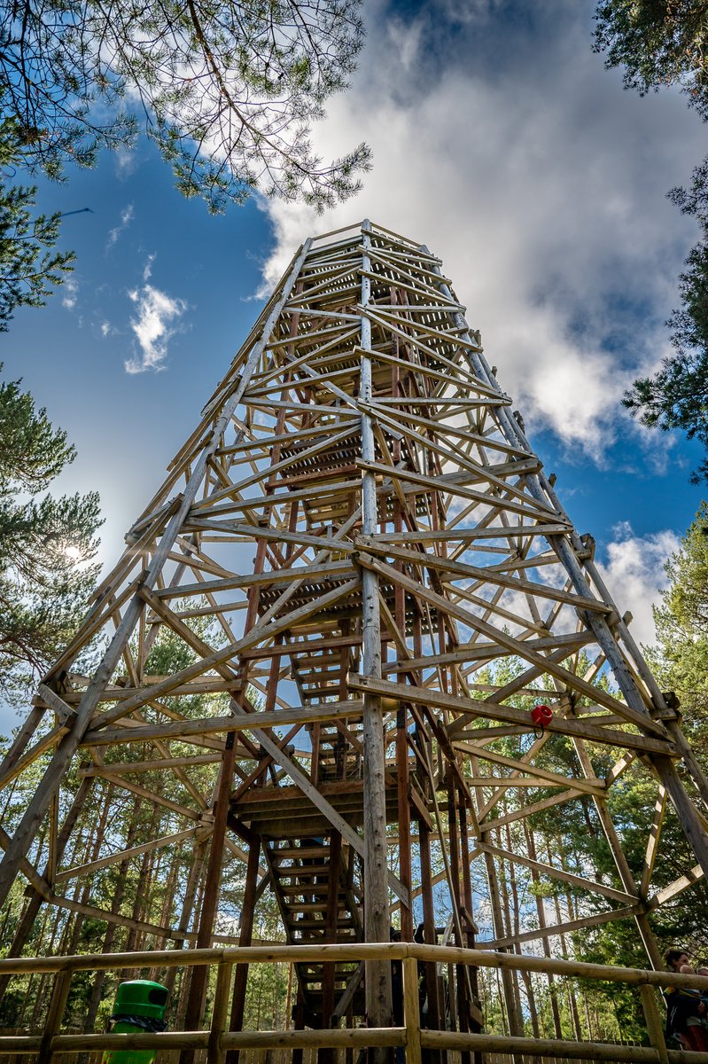 LandmarkParkUK's tweet image. ☀️ Summer holidays = Landmark time!
School’s out &amp;amp; the forest is calling! Whether it’s your first visit or a family tradition, Landmark has everything you need for a day packed with fun and discovery.
#LandmarkPark #SummerHolidays #TimeWellSpent #OutdoorFun