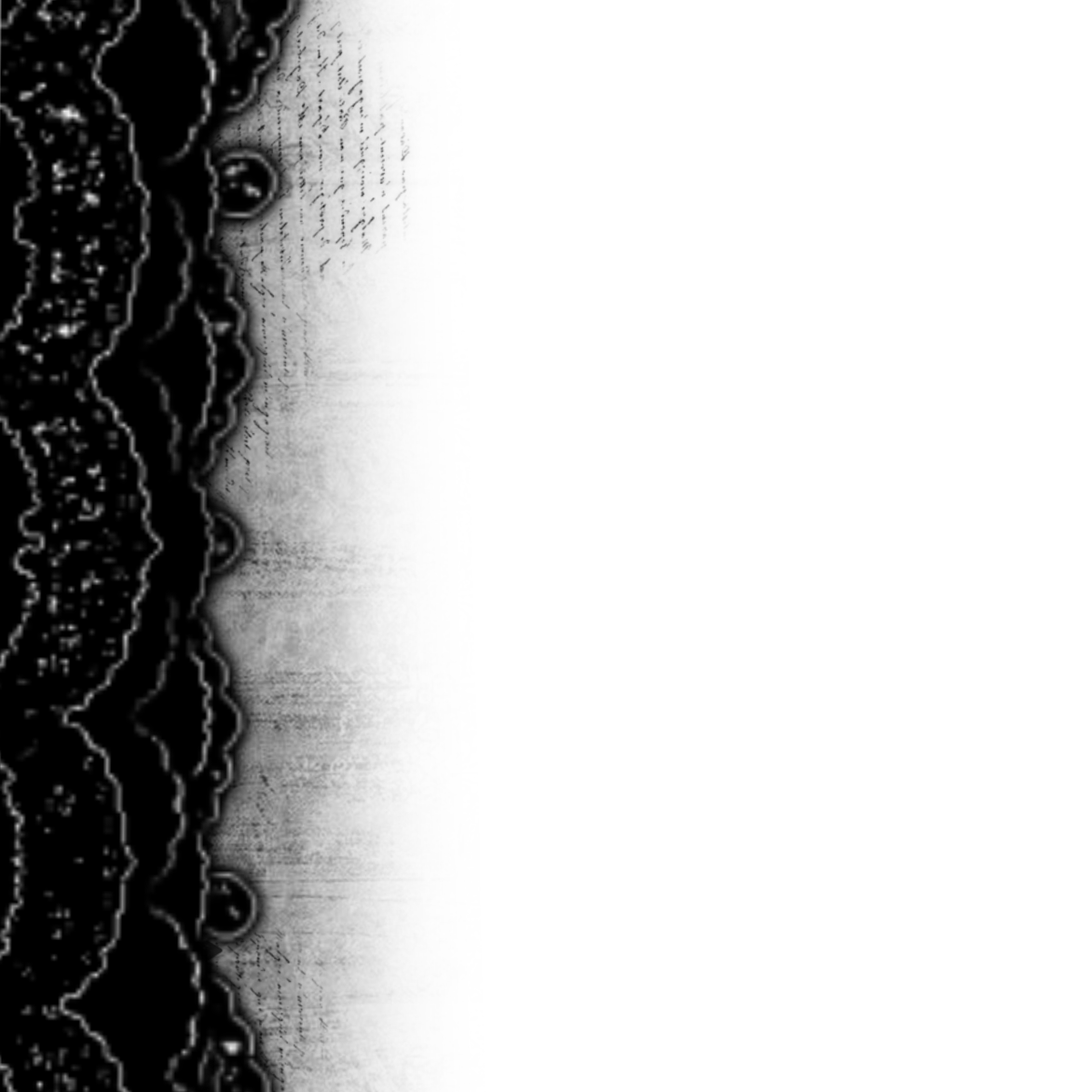 𐔌✚ ° tweet media