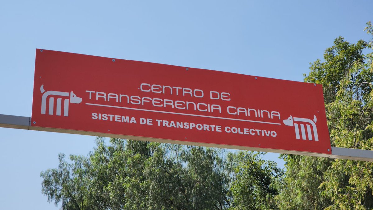MetroCDMX (@metrocdmx) on Twitter photo Todos los perritos rescatados en las instalaciones de la red, son trasladados al <a href="/ctcdelmetro/">CTC del Metro</a>, lugar donde son valorados por médicos veterinarios. Si deseas darle la oportunidad algún lomito, consulta: bit.ly/2Dv5VXG 🐾 #AUnMetroDeSuHogar #AdoptaNoCompres 🐶🏡 Todos los perritos rescatados en las instalaciones de la red, son trasladados al <a href="/ctcdelmetro/">CTC del Metro</a>, lugar donde son valorados por médicos veterinarios. Si deseas darle la oportunidad algún lomito, consulta: bit.ly/2Dv5VXG 🐾 #AUnMetroDeSuHogar #AdoptaNoCompres 🐶🏡