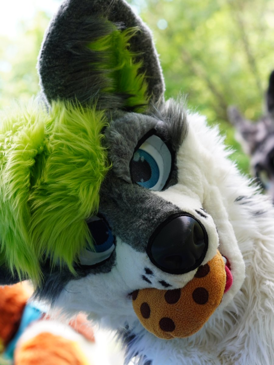 Omomomom
Photo: <a href="/mike_wolf_furry/">mike_furry</a> 
#FursuitFriday