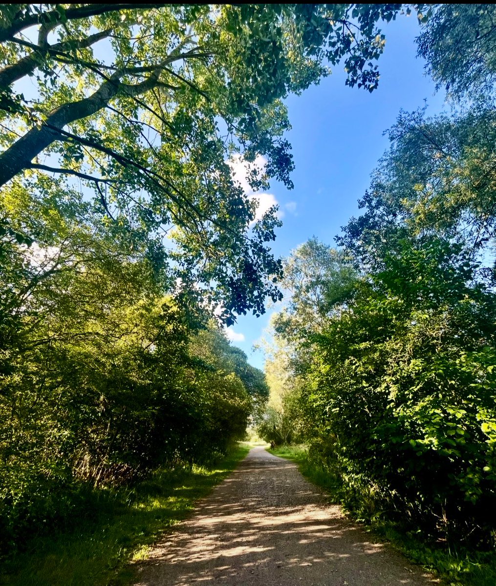 Summer walks. 🌱 #NatureTherapy