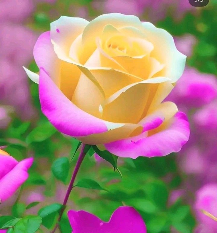 Farooq Ahmad (@frq05) on Twitter photo <a href="/Tnr_6/">Hafiz Tanveer Ahmad 🌐Official</a> <a href="/0fozi_/">Fauzia</a> <a href="/frq04/">Muhammad Farooq Ahmad</a> <a href="/Rnapti/">SHAHID💚PK</a>
<a href="/Fk0_1/">Shahid (lover pti)</a> <a href="/s4566_/">(PTI)</a> <a href="/S111_9/">SHAHID MEHMOOD</a> <a href="/786F_/">Shahid</a>
<a href="/shz787/">🌟⭐️🌟🌟sʜᴀʜᴢᴀᴅ ᴍᴜɴɪʀ🌟⭐️🌟⭐️</a> <a href="/shZ447/">𝕊𝕙𝕒𝕙𝕫𝕒𝕕 𝕄𝕦𝕟𝕚𝕣</a> <a href="/58Yas_/">Muhammad Yaseen</a>
<a href="/Tzb_1/">تہذیب</a> <a href="/1Lvz0/">𝐿𝒶v𝑒𝑒𝓏𝒶_🍃</a> <a href="/FK_71/">Fãhêêmkhãn</a>
<a href="/1i2Ua/">🇦 🇭 🇲 🇪 🇩 🇷 🇮 🇦 🇿𝓲𝓹𝓲𝓪𝓷</a> <a href="/1i3Ua/">🇦 🇭 🇲 🇪 🇩</a>
<a href="/7Ambr/">Amber Baig</a>
<a href="/0MRK_/">Mahrukh Khan</a>
#PAK_PG
<a href="/frq05/">Farooq Ahmad</a>
<a href="/frq06/">Farooq</a>
<a href="/imrnv/">CH Imran</a> <a href="/imra0b/">Goat city Form</a> <a href="/TP7i1/">★☯𝑩𝒉𝒂𝒊༒〄</a>
<a href="/Khld36/">✍𝙆𝙝𝙖𝙡𝙞𝙙 𝙃𝙪𝙨𝙖𝙞𝙣✍⳼</a> <a href="/Frhn42/">★𝙁𝙧𝙝𝙖𝙣 𝘼𝙝𝙢𝙚𝙙★</a> <a href="/Trq88/">✍︎⸙𝐓αɾιϙ 𝐌υɾƚαȥα࿈</a>
<a href="/Triq25/">⤹𝙈𝙪𝙝𝙖𝙢𝙢𝙖𝙙 𝙏𝙖𝙧𝙞𝙦⤸</a> <a href="/Bla_Here/">🅰🅱🅳🆄🅻🅻🅰🅷𝓲𝓹𝓲𝓪𝓷</a> <a href="/Pti0_1/">Shahid</a>
<a href="/Jann064/">Ahmad Jan</a> <a href="/6Jan11/">jan</a> <a href="/_ah064/">Ahmad</a>
<a href="/frq_3/">farooq mughal</a> <a href="/_0zoi/">Zoya Hamid</a> <a href="/F7861_/">Rana Fahid</a> <a href="/P0_27/">SANA PTI</a> <a href="/Tnr_6/">Hafiz Tanveer Ahmad 🌐Official</a> <a href="/0fozi_/">Fauzia</a> <a href="/frq04/">Muhammad Farooq Ahmad</a> <a href="/Rnapti/">SHAHID💚PK</a>
<a href="/Fk0_1/">Shahid (lover pti)</a> <a href="/s4566_/">(PTI)</a> <a href="/S111_9/">SHAHID MEHMOOD</a> <a href="/786F_/">Shahid</a>
<a href="/shz787/">🌟⭐️🌟🌟sʜᴀʜᴢᴀᴅ ᴍᴜɴɪʀ🌟⭐️🌟⭐️</a> <a href="/shZ447/">𝕊𝕙𝕒𝕙𝕫𝕒𝕕 𝕄𝕦𝕟𝕚𝕣</a> <a href="/58Yas_/">Muhammad Yaseen</a>
<a href="/Tzb_1/">تہذیب</a> <a href="/1Lvz0/">𝐿𝒶v𝑒𝑒𝓏𝒶_🍃</a> <a href="/FK_71/">Fãhêêmkhãn</a>
<a href="/1i2Ua/">🇦 🇭 🇲 🇪 🇩 🇷 🇮 🇦 🇿𝓲𝓹𝓲𝓪𝓷</a> <a href="/1i3Ua/">🇦 🇭 🇲 🇪 🇩</a>
<a href="/7Ambr/">Amber Baig</a>
<a href="/0MRK_/">Mahrukh Khan</a>
#PAK_PG
<a href="/frq05/">Farooq Ahmad</a>
<a href="/frq06/">Farooq</a>
<a href="/imrnv/">CH Imran</a> <a href="/imra0b/">Goat city Form</a> <a href="/TP7i1/">★☯𝑩𝒉𝒂𝒊༒〄</a>
<a href="/Khld36/">✍𝙆𝙝𝙖𝙡𝙞𝙙 𝙃𝙪𝙨𝙖𝙞𝙣✍⳼</a> <a href="/Frhn42/">★𝙁𝙧𝙝𝙖𝙣 𝘼𝙝𝙢𝙚𝙙★</a> <a href="/Trq88/">✍︎⸙𝐓αɾιϙ 𝐌υɾƚαȥα࿈</a>
<a href="/Triq25/">⤹𝙈𝙪𝙝𝙖𝙢𝙢𝙖𝙙 𝙏𝙖𝙧𝙞𝙦⤸</a> <a href="/Bla_Here/">🅰🅱🅳🆄🅻🅻🅰🅷𝓲𝓹𝓲𝓪𝓷</a> <a href="/Pti0_1/">Shahid</a>
<a href="/Jann064/">Ahmad Jan</a> <a href="/6Jan11/">jan</a> <a href="/_ah064/">Ahmad</a>
<a href="/frq_3/">farooq mughal</a> <a href="/_0zoi/">Zoya Hamid</a> <a href="/F7861_/">Rana Fahid</a> <a href="/P0_27/">SANA PTI</a>