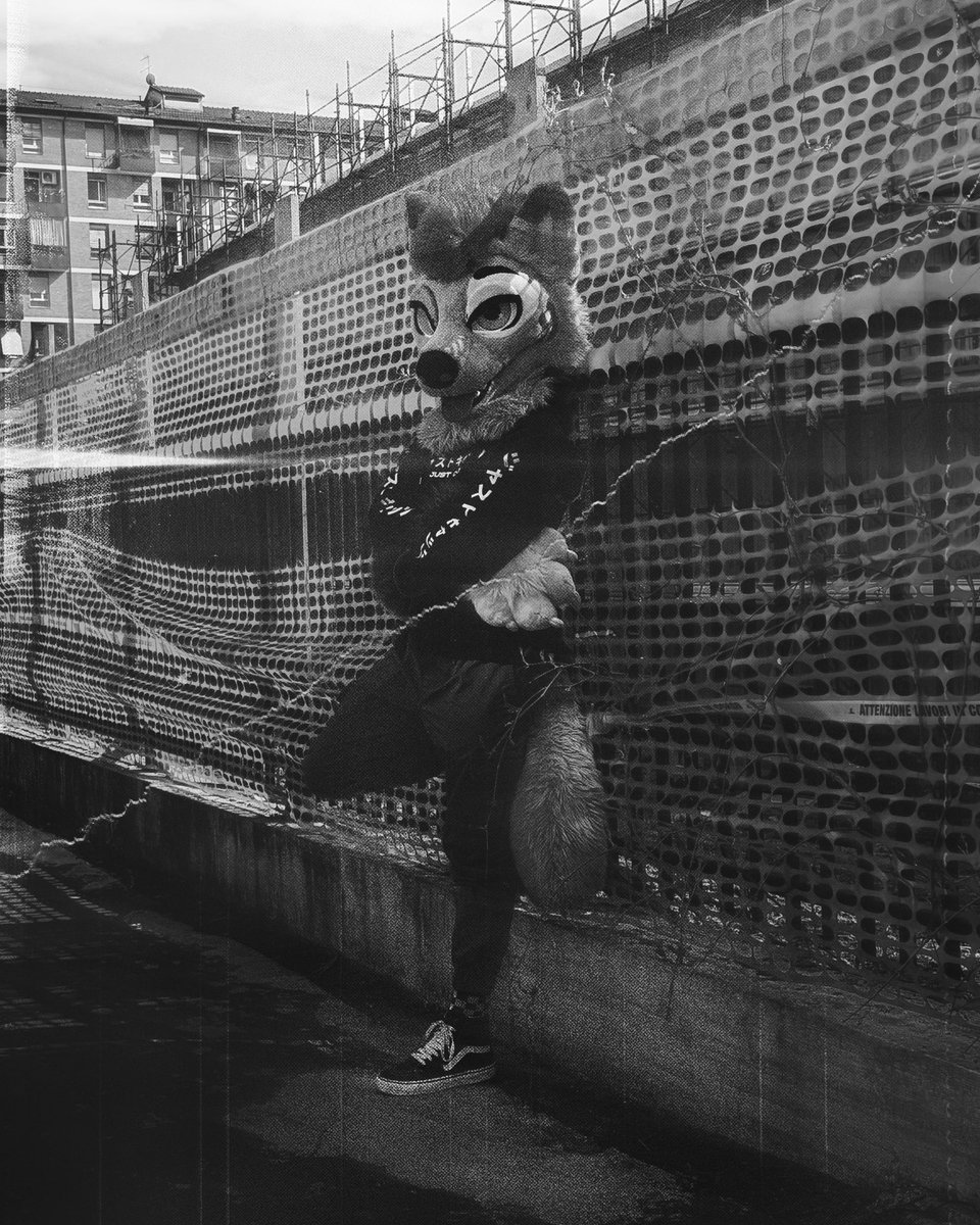 JustCats tweet media