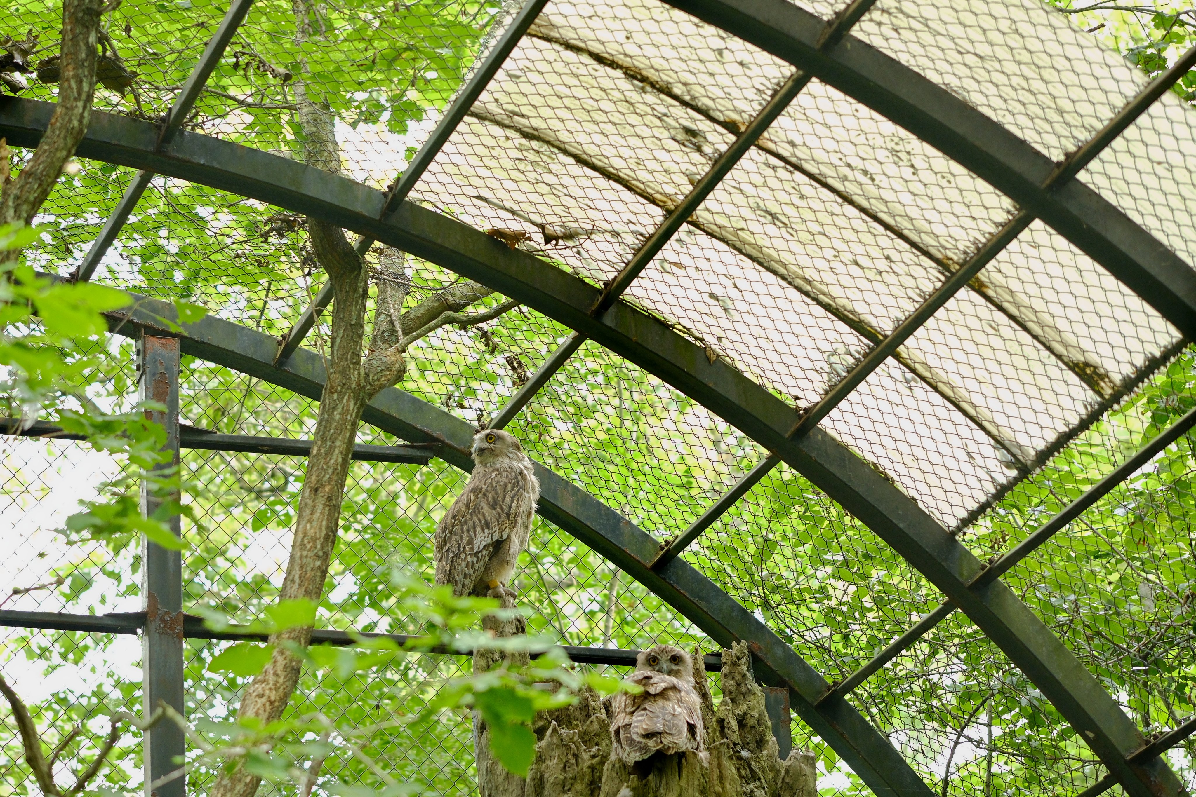 草木と小さな動物 生き物】小さい秋 見つけた|｜ブログ|三ツ沢公園公式サイト