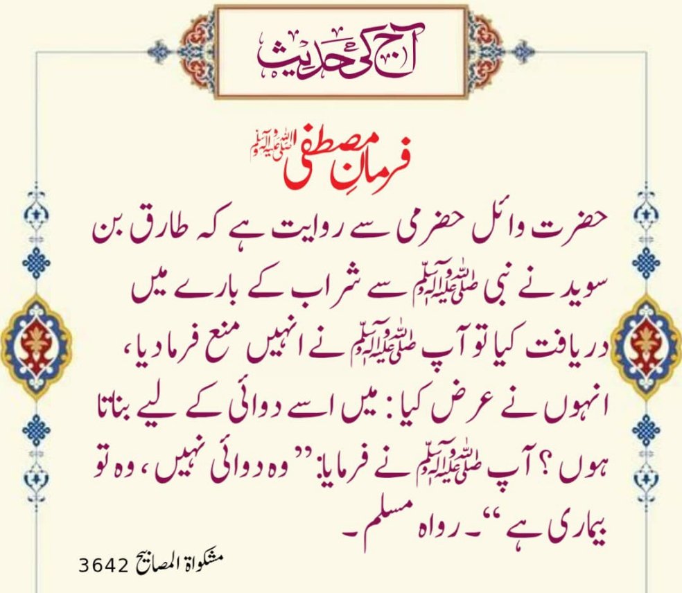 *السلام وعلیکم*🌹🌹

*شام بخیر*🪷🪷
