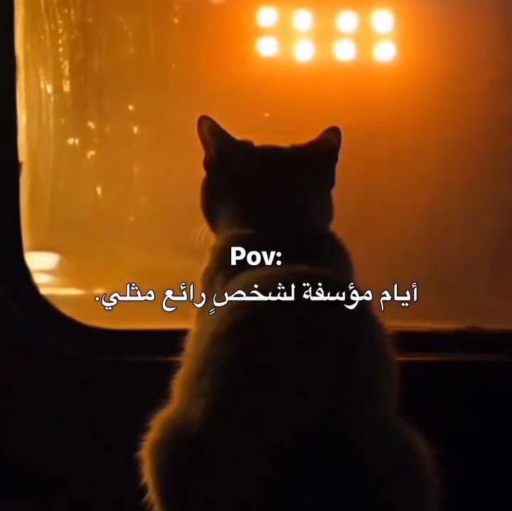 ٍ (@e_burw) on Twitter photo 