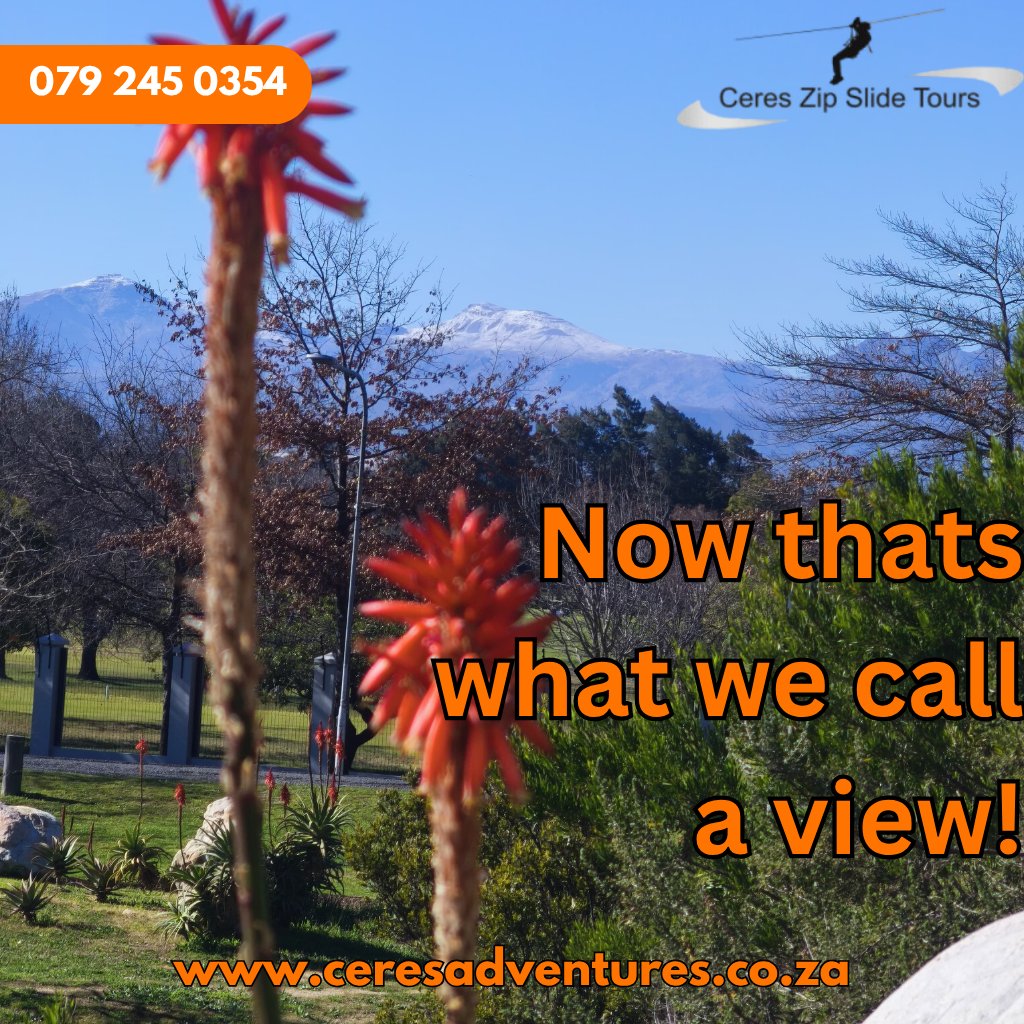 ziplinesceres's tweet image. 🌄 If this is the view from our office... just imagine the view from our ziplines!
Soar through mountains, over rivers, and into unforgettable moments — only at Ceres Zipline Adventures. 💨✨
📞 079 245 0354
🌐 ceresadventures.co.za
#CeresZiplines #ViewFromTheTop #FeelTheRush
