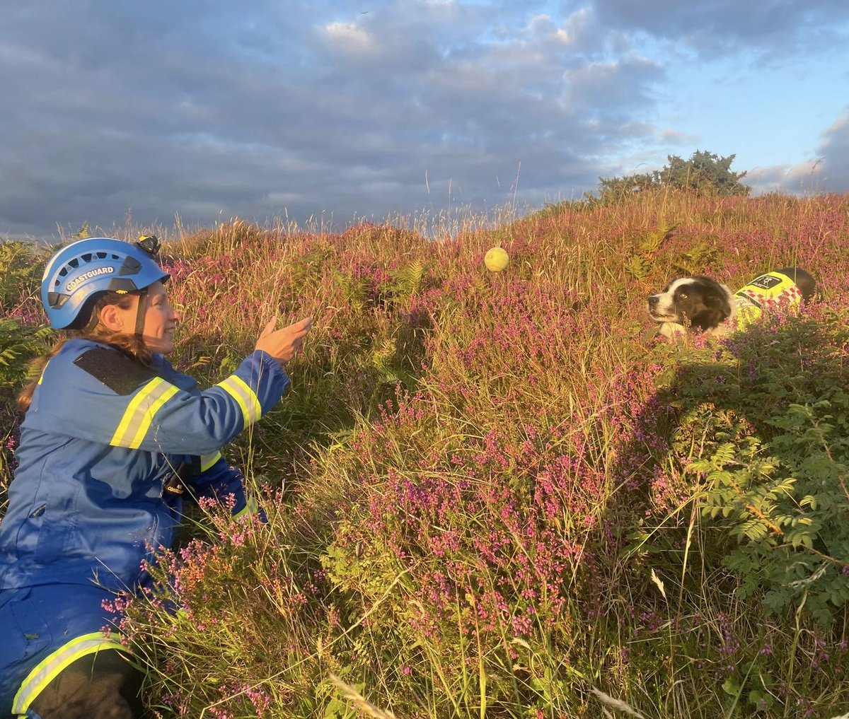 Search & Rescue Dog Association Ireland North (@sardain1978) on Twitter photo Joint training success with <a href="/HMCoastguard/">HM Coastguard</a> yesterday!Our SAR dogs showed exceptional skill, focus and determination🐕🦺🦮As a registered @NISAR_uk asset, we’re always ready to deploy when tasked by <a href="/PoliceServiceNI/">Police Service NI</a>.
#SARDAIN #SearchAndRescueDogs #SavingLivesSince1978 Joint training success with <a href="/HMCoastguard/">HM Coastguard</a> yesterday!Our SAR dogs showed exceptional skill, focus and determination🐕🦺🦮As a registered @NISAR_uk asset, we’re always ready to deploy when tasked by <a href="/PoliceServiceNI/">Police Service NI</a>.
#SARDAIN #SearchAndRescueDogs #SavingLivesSince1978