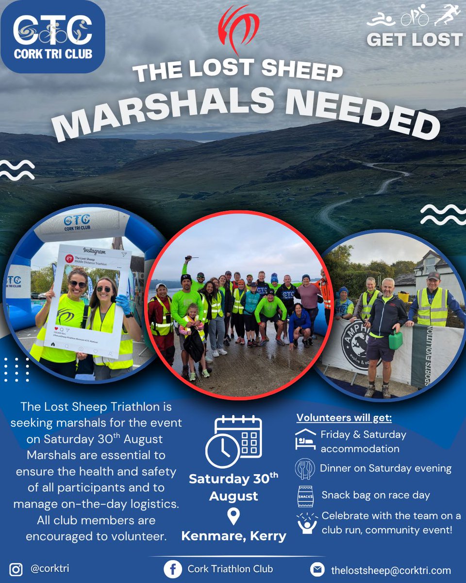 LostSheep tweet media