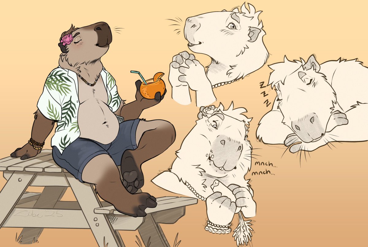 z i b e 🌱 tweet media