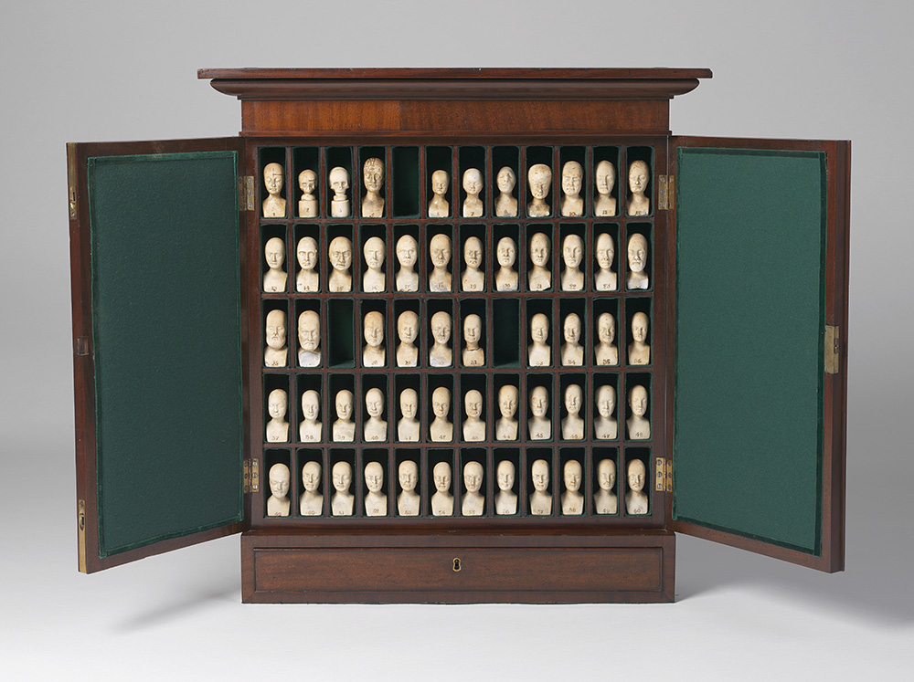 AnatomicalMuseum tweet media