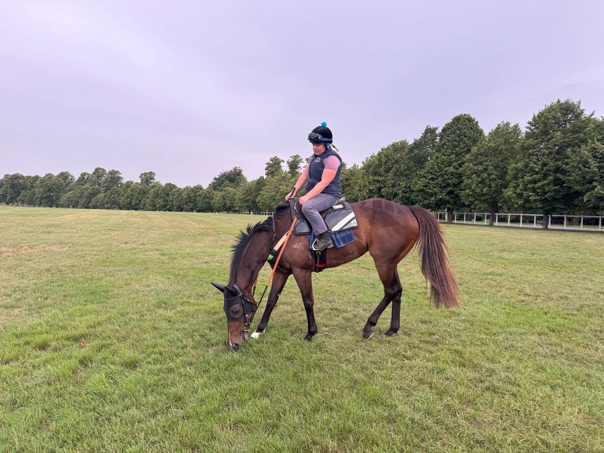 ThePaddandPav's tweet image. Famous Australian jockey Ron Hutchinson did the King George Stakes @Goodwood_Races &amp;amp; Nunthorpe Stakes @yorkracecourse in 1961.
Can #Asfoora  @HDwyerRacing  complete the double in 2025 for Australia with @oismurphy help?
@Nick__lightfoot #thepaddandpav #ronhutchinson