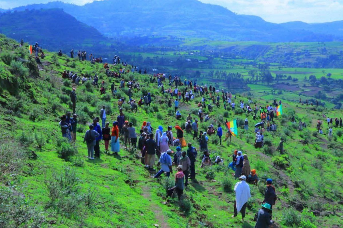 FeyissaGosaye's tweet image. Ethiopia’s historic one-day tree planting campaign on July 31, 2025, aims to plant 700 million seedlings nationwide — as seen in this powerful image.

#Ethiopia #TreePlantingDay #ClimateAction #Reforestation #Plant700Million #GreeningAfrica #Sustainability