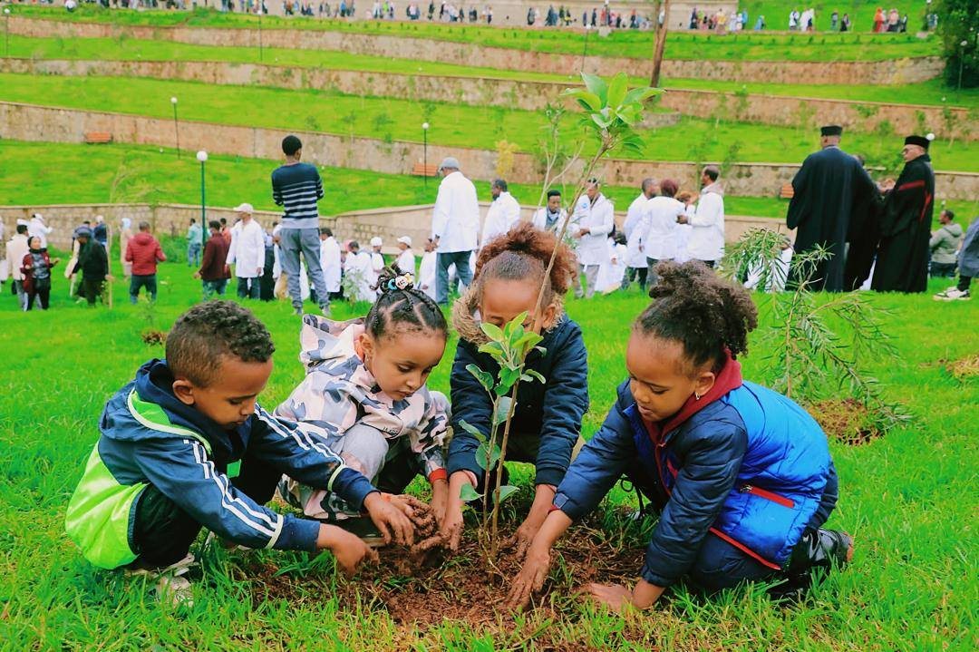 FeyissaGosaye's tweet image. Ethiopia’s historic one-day tree planting campaign on July 31, 2025, aims to plant 700 million seedlings nationwide — as seen in this powerful image.

#Ethiopia #TreePlantingDay #ClimateAction #Reforestation #Plant700Million #GreeningAfrica #Sustainability