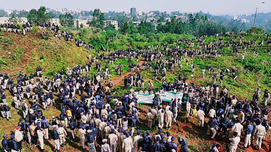 FeyissaGosaye's tweet image. Ethiopia’s historic one-day tree planting campaign on July 31, 2025, aims to plant 700 million seedlings nationwide — as seen in this powerful image.

#Ethiopia #TreePlantingDay #ClimateAction #Reforestation #Plant700Million #GreeningAfrica #Sustainability