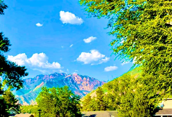 Hello August!

🌳⛰️

#Utah