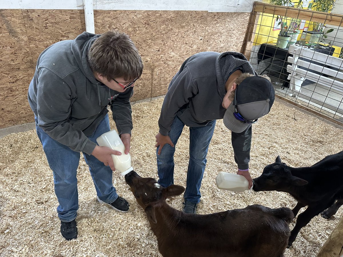 The Babyland Auction is tomorrow night, Saturday, August 2, at 7:00 in the Sheep Show Arena at the Wood County Fairgrounds. We have numerous animals and a pair of 2 man hunts that will be auctioned. We hope to see a lot of people there!