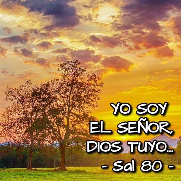 cuidado, detalle, amor (@creercuidar) on Twitter photo 