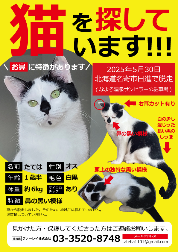 まぼろしの鳥―オジロワシを追って まぼろしの鳥?オジロワシを追って