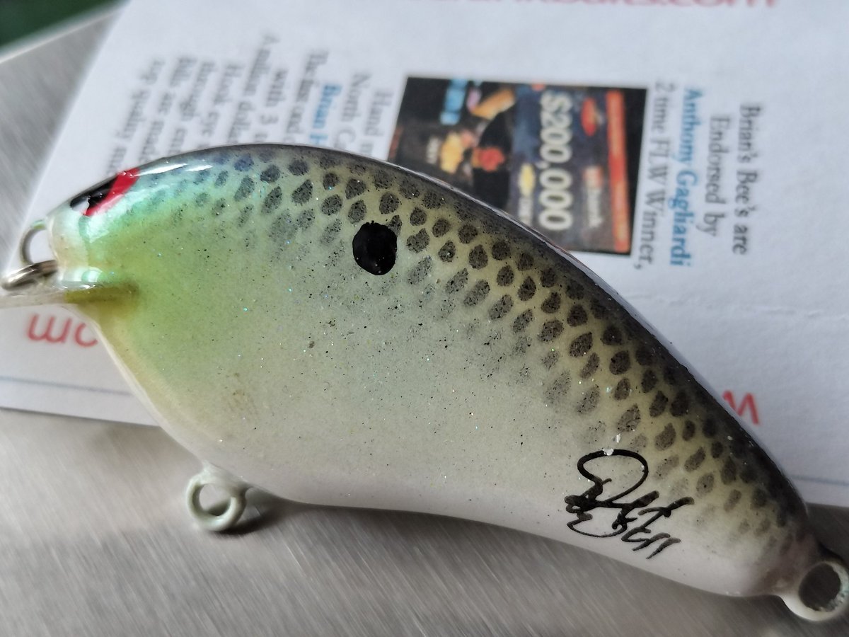 TexasBankFish1's tweet photo. Brians Bees Handmade Bass Lures
Flat side model " LITTLE BEE "
Made in South Carolina 🇺🇸
今や超希少なブライアンズビー
1/4ozクラスのフラットサイドです。
#briansbees
#briansbeescrankbait
#handmadecrankbaits
#ブライアンズビー
#ブライアンズビーズ
#ハンドメイドクランク https://t.co/2RBBdSR95f
